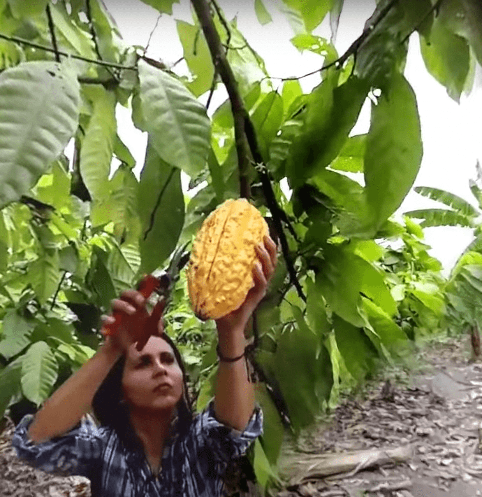 ebay Auction at Universal Backlot gallery 1