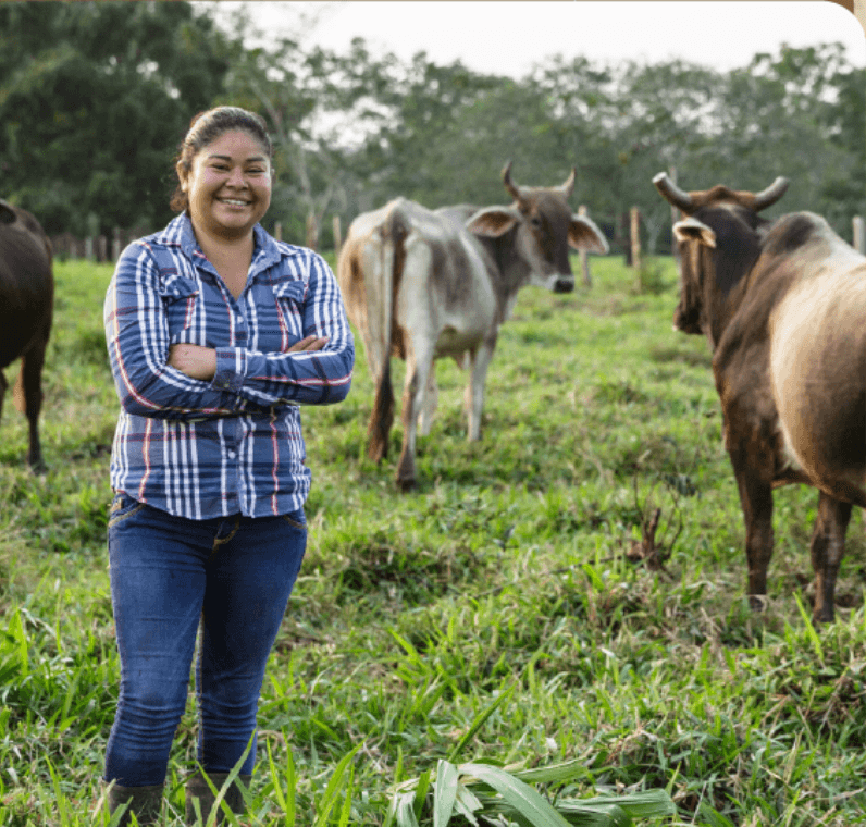 ebay Auction at Universal Backlot